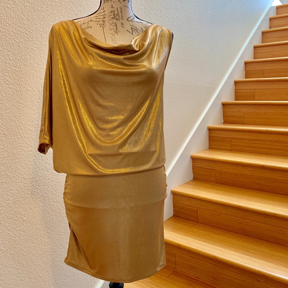 The Limited Gold Dress